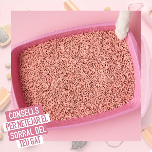 Consells per netejar el sorral 16 341846315 619003803089370 8812793952322881007 n