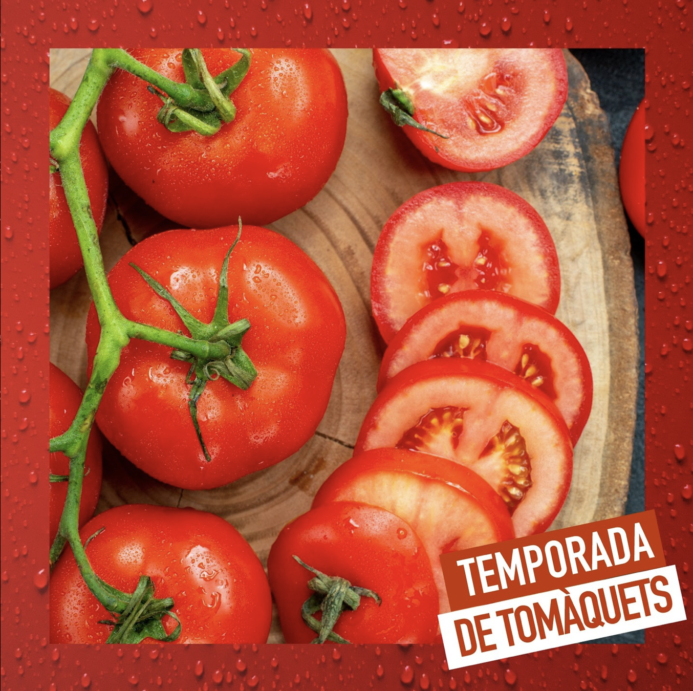 Temporada de tomàquets 2 Captura de pantalla 2023 08 18 a las 11.59.59